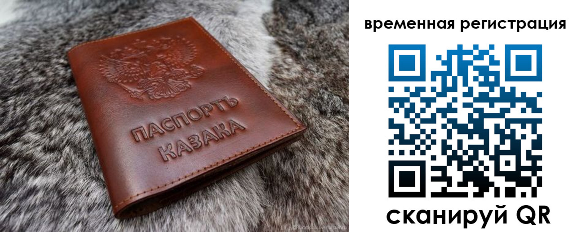 прописка 2025 в Волгограде